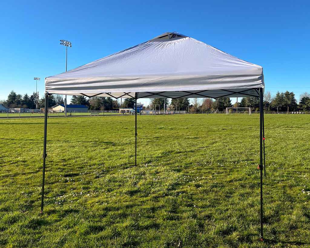 10 Foot by 10 Foot Canopy with anchor weights