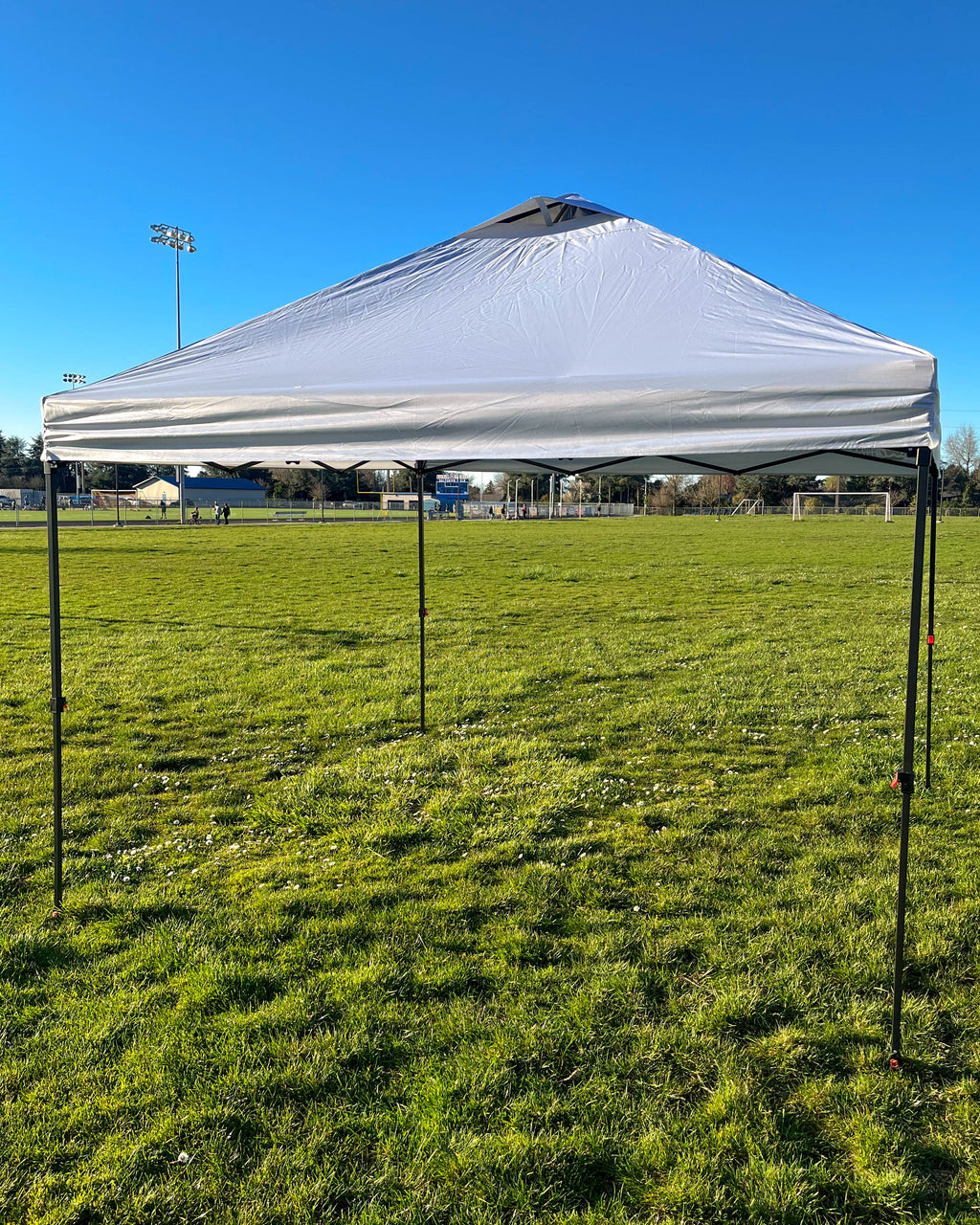 10 Foot by 10 Foot Canopy with anchor weights